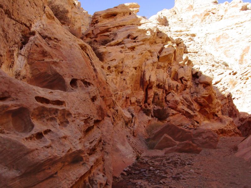 04160302LittleWildHorse (1093)